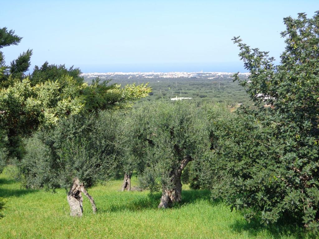 מונופולי Alla Panoramica מראה חיצוני תמונה